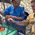 Budi Daya Udang Ramah Lingkungan