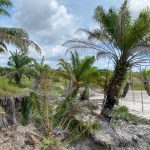 Pasca Penertiban, Tambang Ilegal di Kelabat Kembali Beroperasi